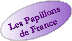 Les papillons de France